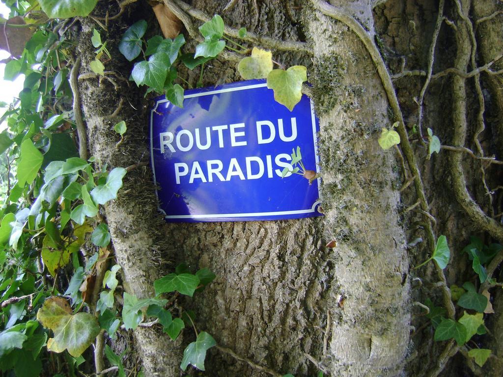 Gite Les Mineurs Zottegem Esterno foto