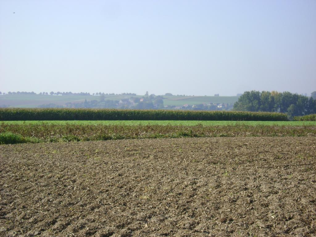 Gite Les Mineurs Zottegem Esterno foto